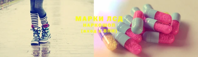 трава Арсеньев