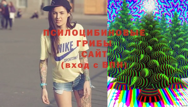 дурь Аркадак