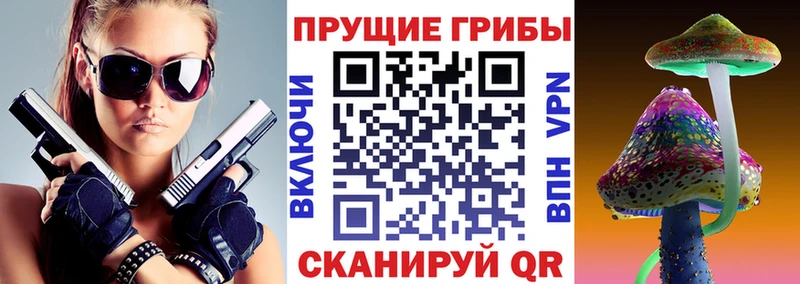Галлюциногенные грибы мицелий  блэк спрут ссылки  Сураж 